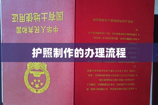 剑河护照制作的办理流程